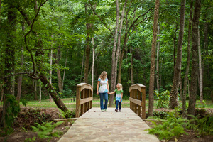 Rossbridgegreen_small