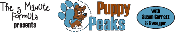 Puppy_peaks_header_banner_1_