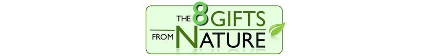 8_gifts_centered_logo