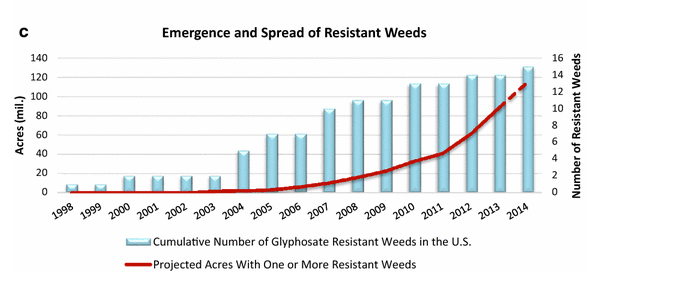 As Of March 2017 There Are Now 37 Weeds That Have Developed Resistance To Glyphosate 6 The Team At International Survey Herbicide Resistant As Of March 2017 There Are Now 37 Weeds That Have Developed Resistance To Glyphosate 6 The Team At International Survey Herbicide Resistant