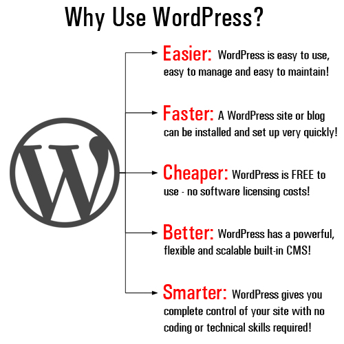 WordPress is the easiest, fastest, cheapest, better, and smarter tool for growing a business online! Discover why WordPress is the easiest, fastest, cheapest, better, and smarter tool for growing your digital business presence!