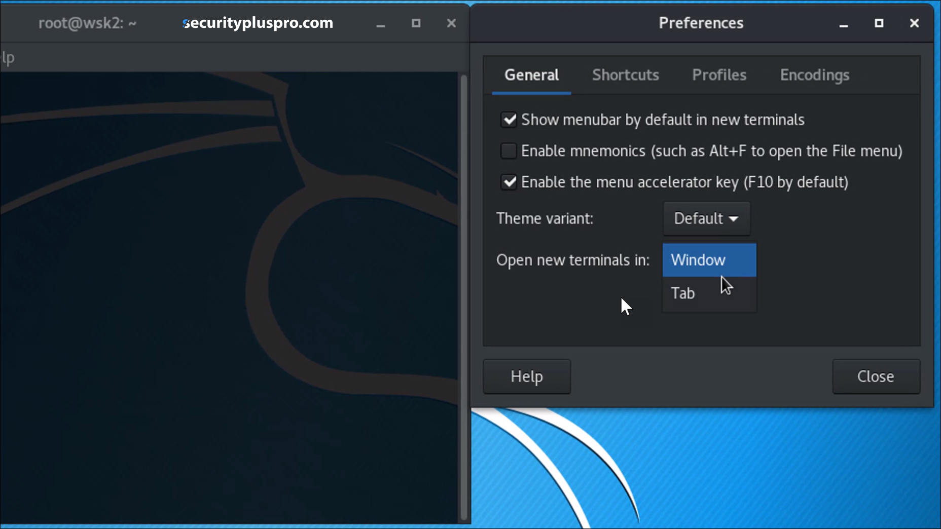 Security+ Training Online Lab Customizing Kali Linux (Part 4 of 7)
