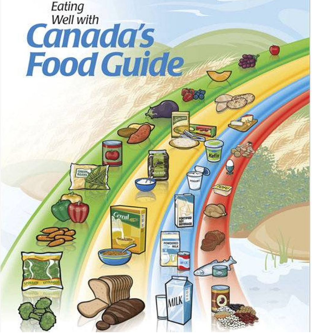 Canada's Food Guide | Did they finally get it right?