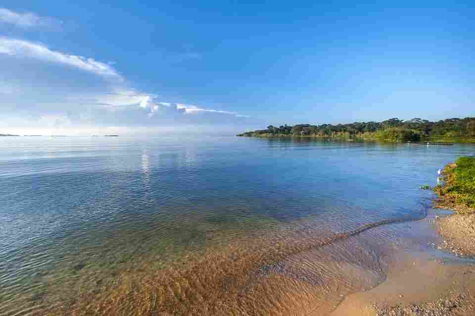 Ethiopia is the cradle of humanity where humans began consuming shellshish