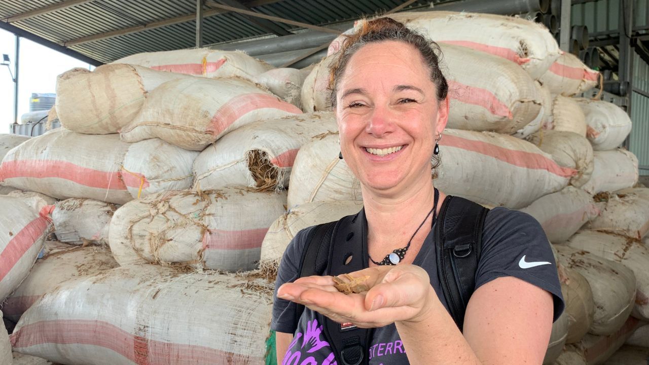 Kaneel destillatie in Kenia &ndash; L&eacute;anne bij het destillatieproces