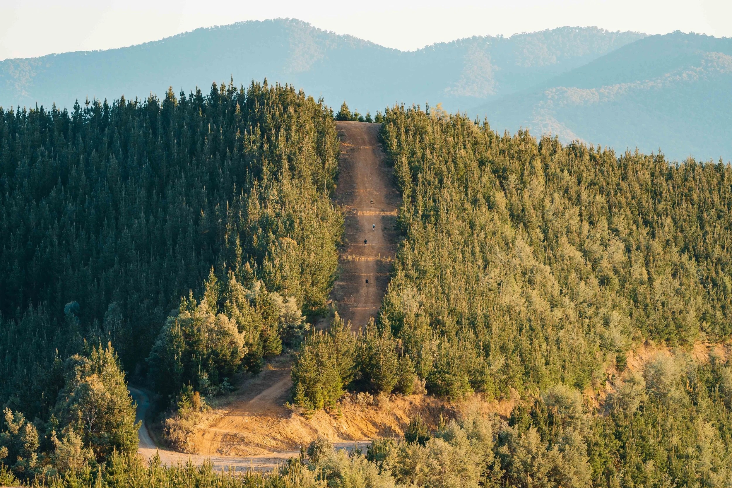 Alpine trail terrain in Bright, Victoria