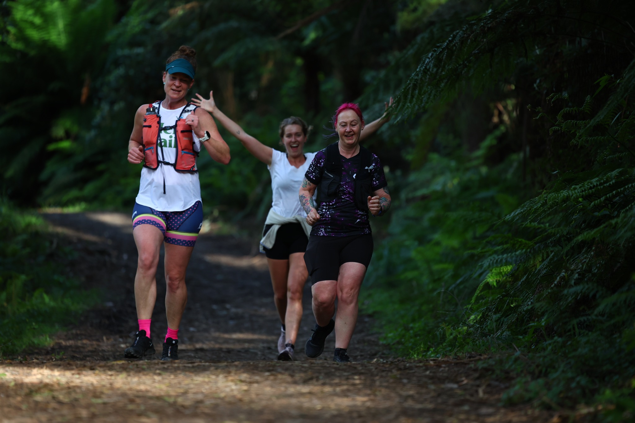 Roller Coaster Run Dandenong Ranges forest singletrack