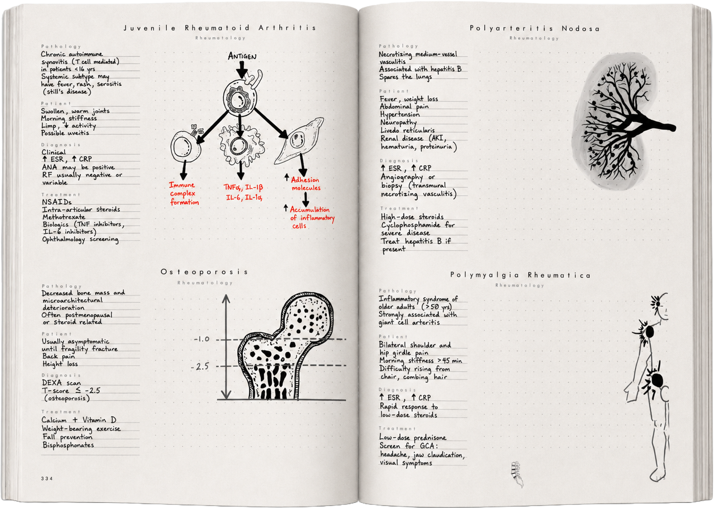 Notebook spread — musculoskeletal and rheumatology with annotated joint illustrations