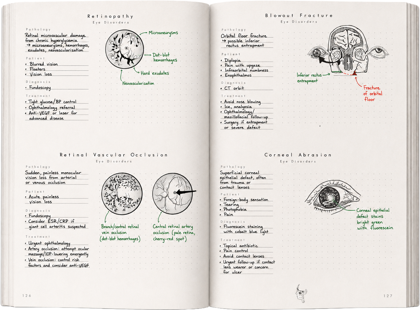 A finished spread inside the Board Review Notebook — eye disorders with annotated illustrations