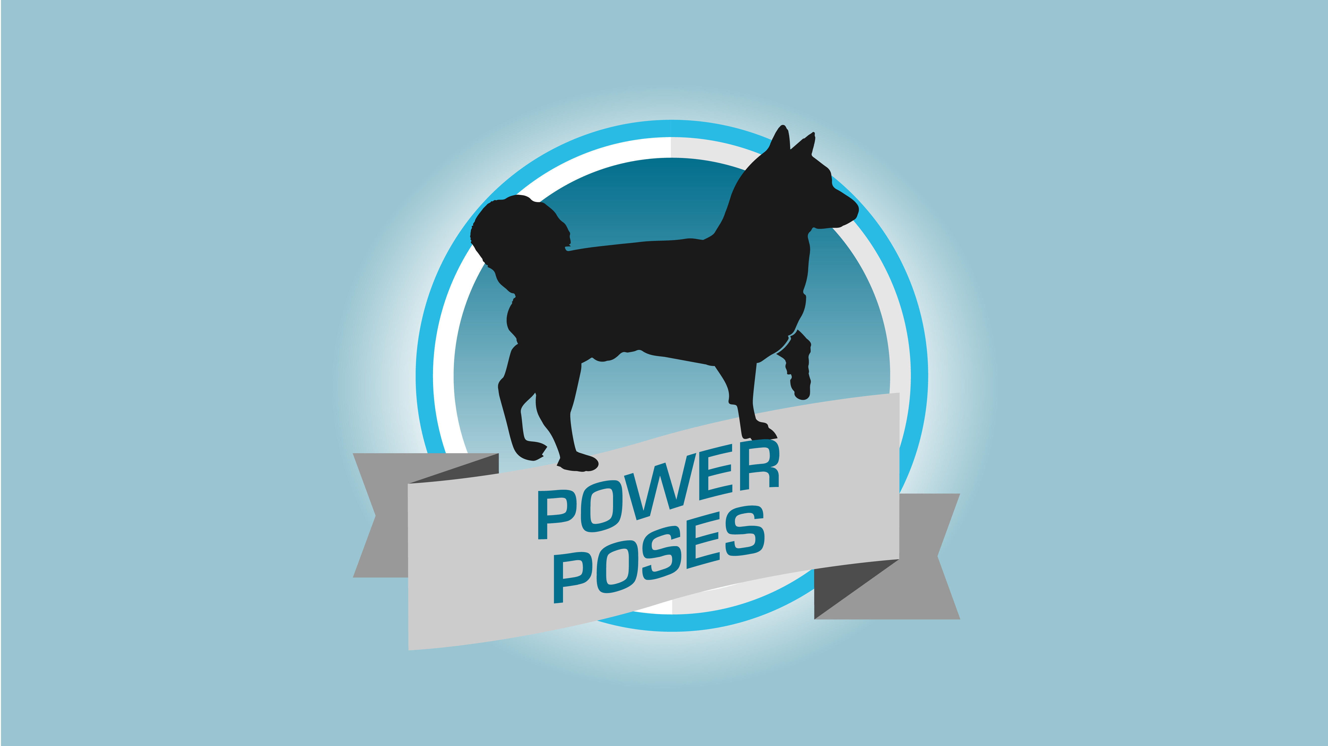 Power Poses