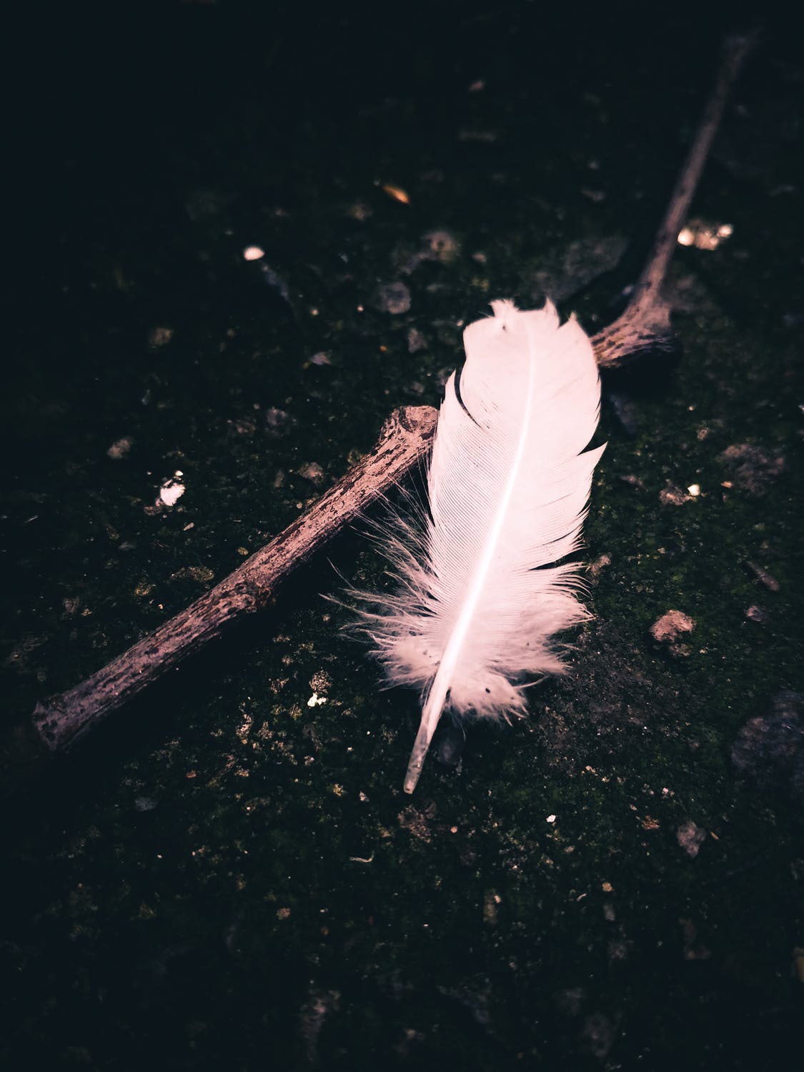 The Most Common “Without a Doubt” Signs Our Deceased Loved Ones Give to Let Us Know They Are Around