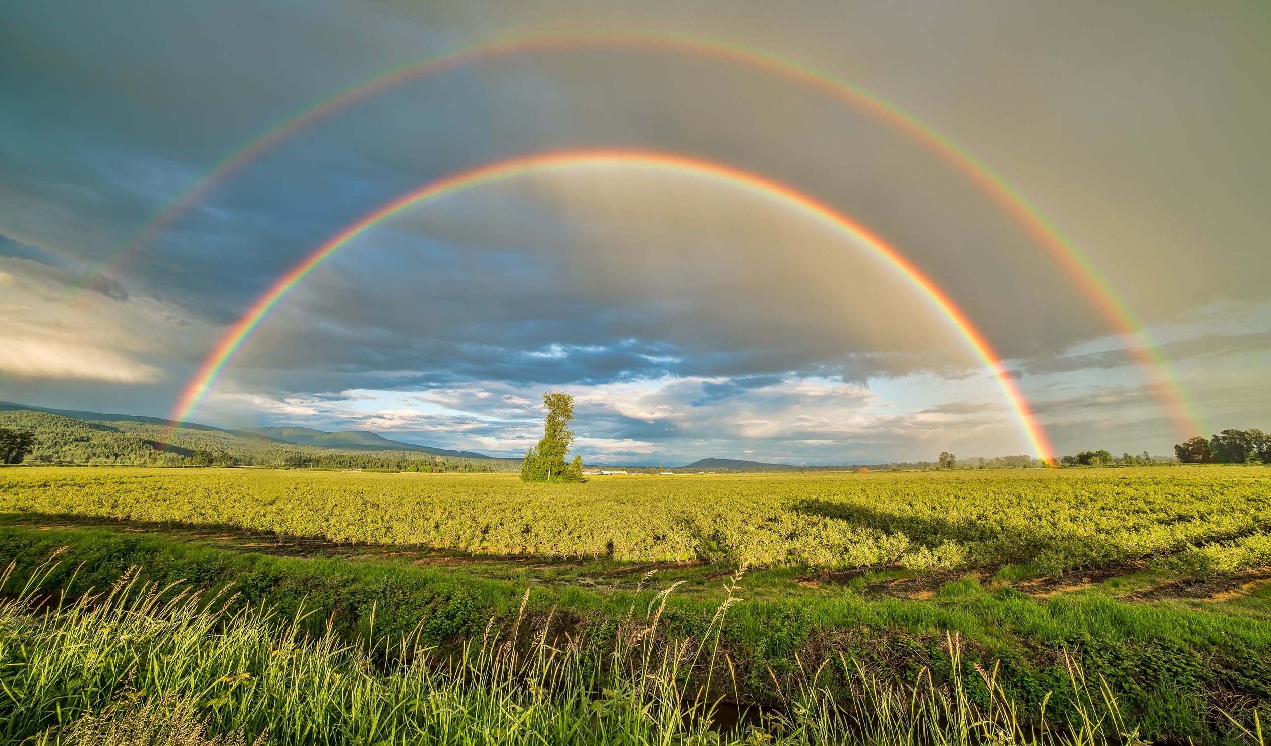 The Rainbow Follows the Storm