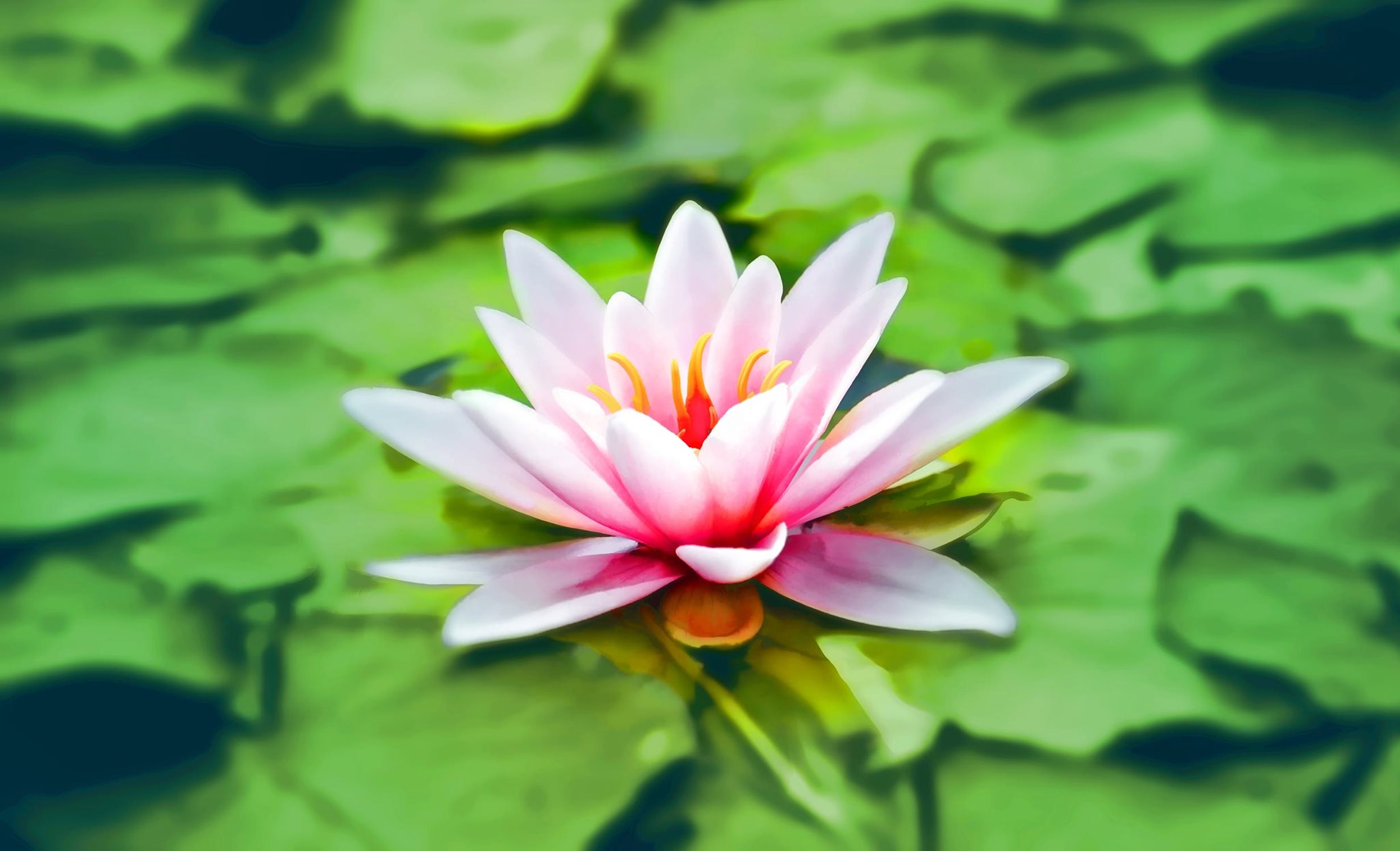 5 Steps to a More Spiritual Life