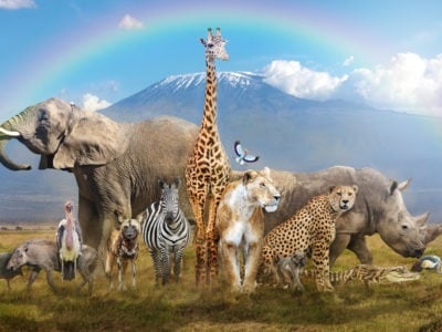 Prayer for all Living Creatures and the Environment