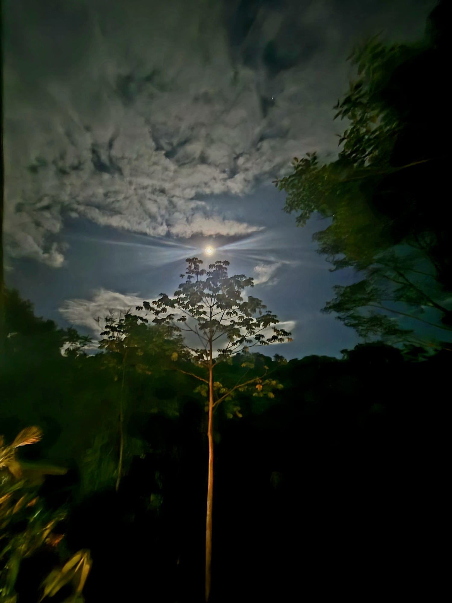 Imagine a place where the whispers of the wind carry tales of tranquility, where every bite of food nourishes not just the body but also the soul. This place isn't a figment of imagination; it's the I