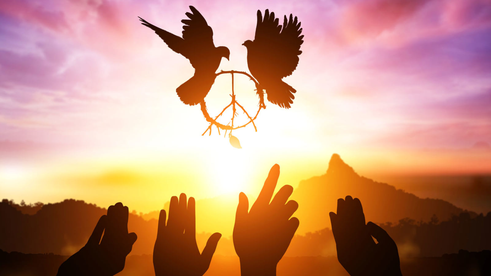 Five Steps Toward a Journey of Peace