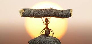 The Power of Willingness: Turning Challenges into Change