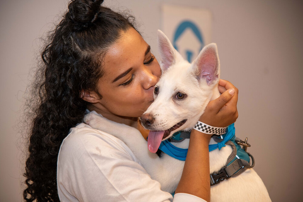Living Animals Can Give and Receive Messages, Too