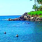 Product Introductory Shore Dive