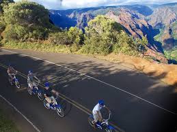 Product Waimea Canyon Downhill Bike Tour