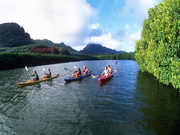 Product Kayak The Wailua River &amp; Hike To A Waterfall