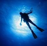 Product Certified Shore Dives