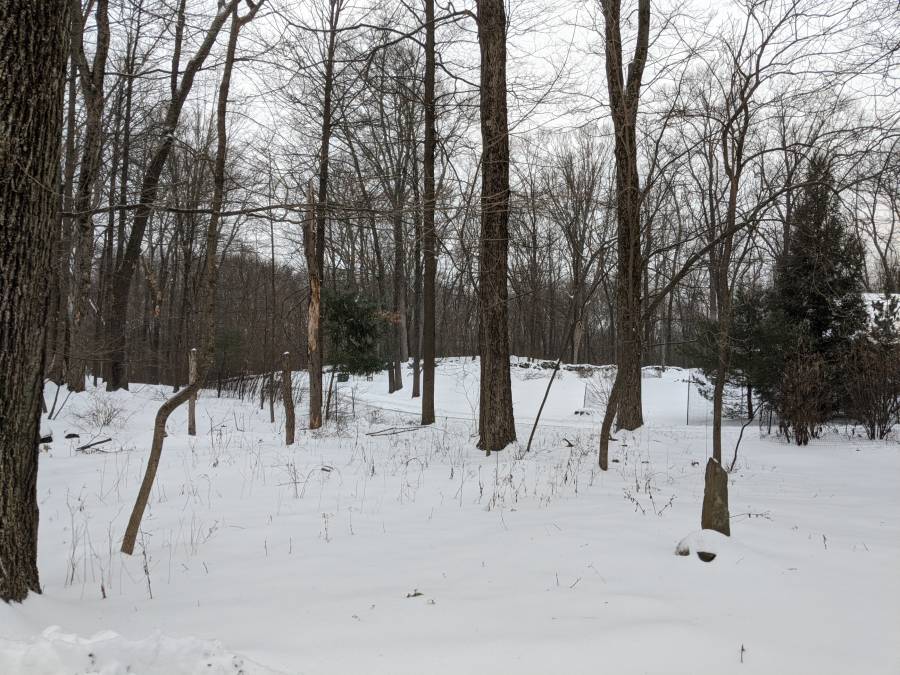 User uploaded image for group ecard - mrigkhwu.jpg