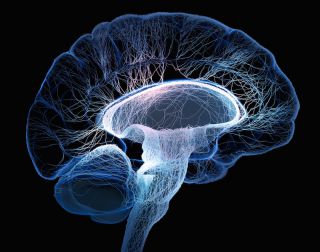 TruBrain on StartEngine