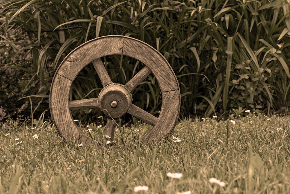Shark Wheel on Wefunder