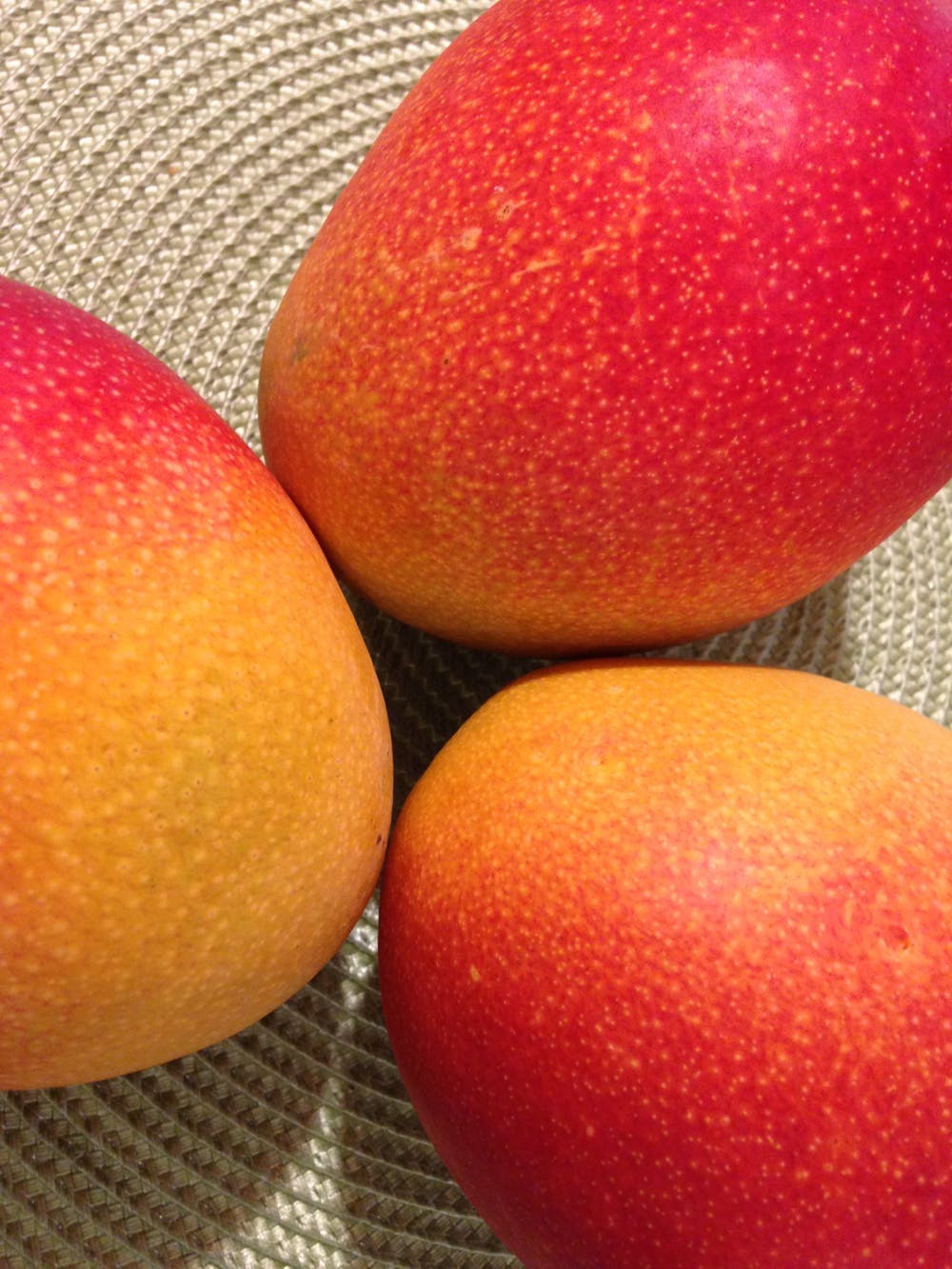 Mango Ba hia on MainVest