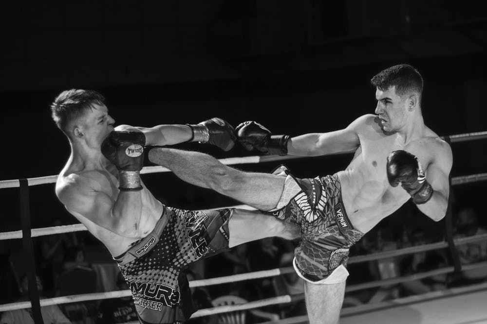 Elite Amateur Fight League on Wefunder