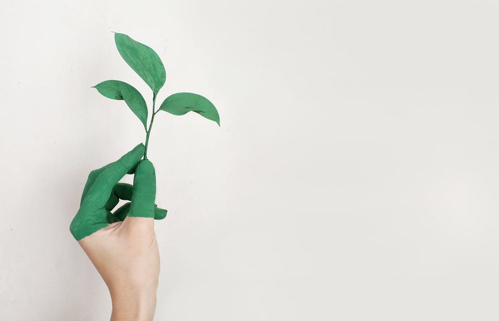 UCapture on SeedInvest
