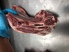 Patagonia Lamb Shoulder (chuck and blade) (1 piece per pkg) (grass fed)
