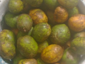 Manzana de Oro? ni es manzana ni es de oro...