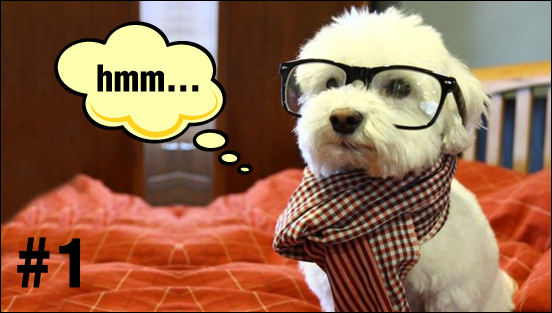 La Pregunta de la Semana (1)