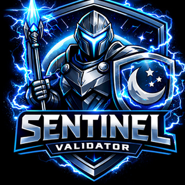 🛡 Sentinel Node