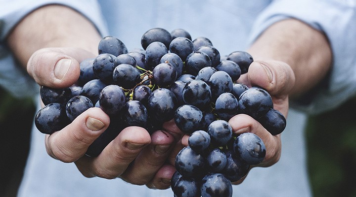 The Sound of Exploding Wineskins