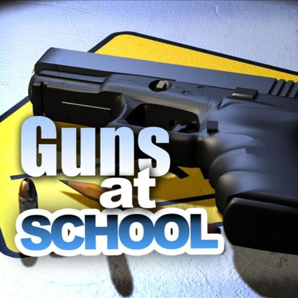 Chicago School Security Assessment