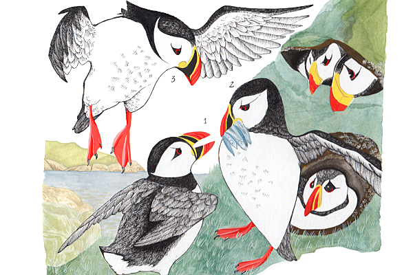 Social Media Mapping Project Takes Flight with Avian Avatars