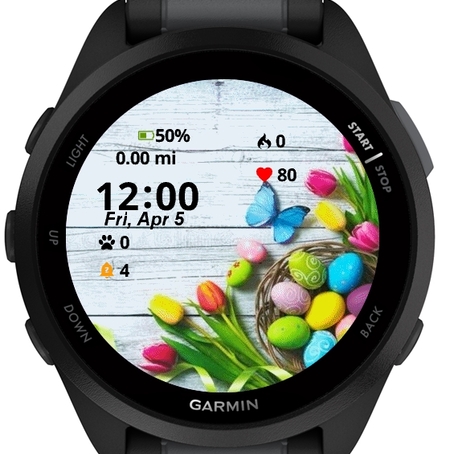Easter Background Colorful Spring