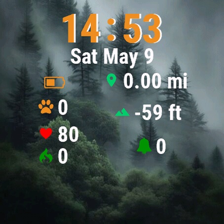 Forest Fog Trees