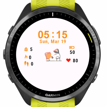 Cute White Cat