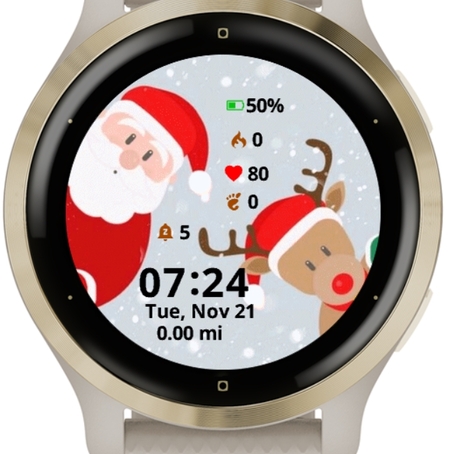 Santa and Reindeer