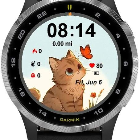 Cat and Butterfly