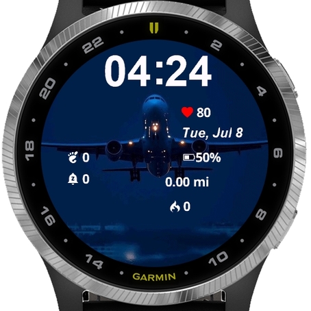 The Flight