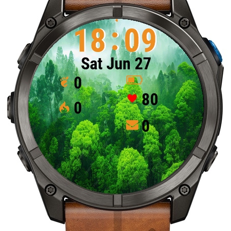 Green Forest Fog