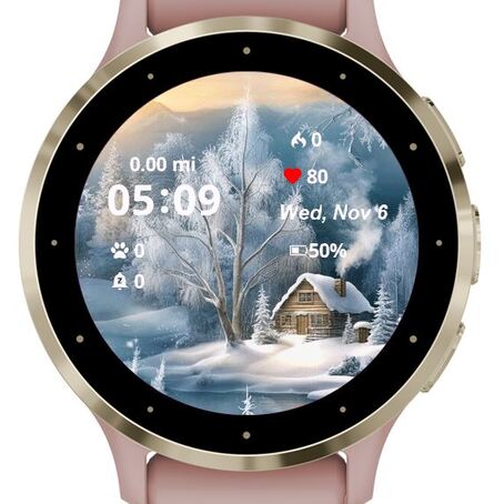 Winter House