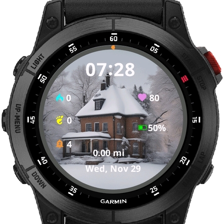 Winter House