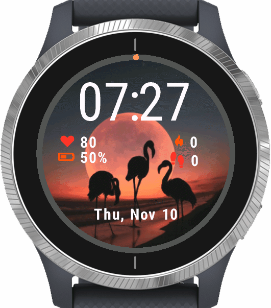 Flamingo Birds