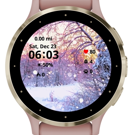 Landscape Winter